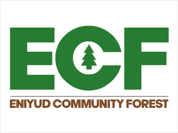 Eniyud Community Forest